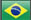 Português - Brasil